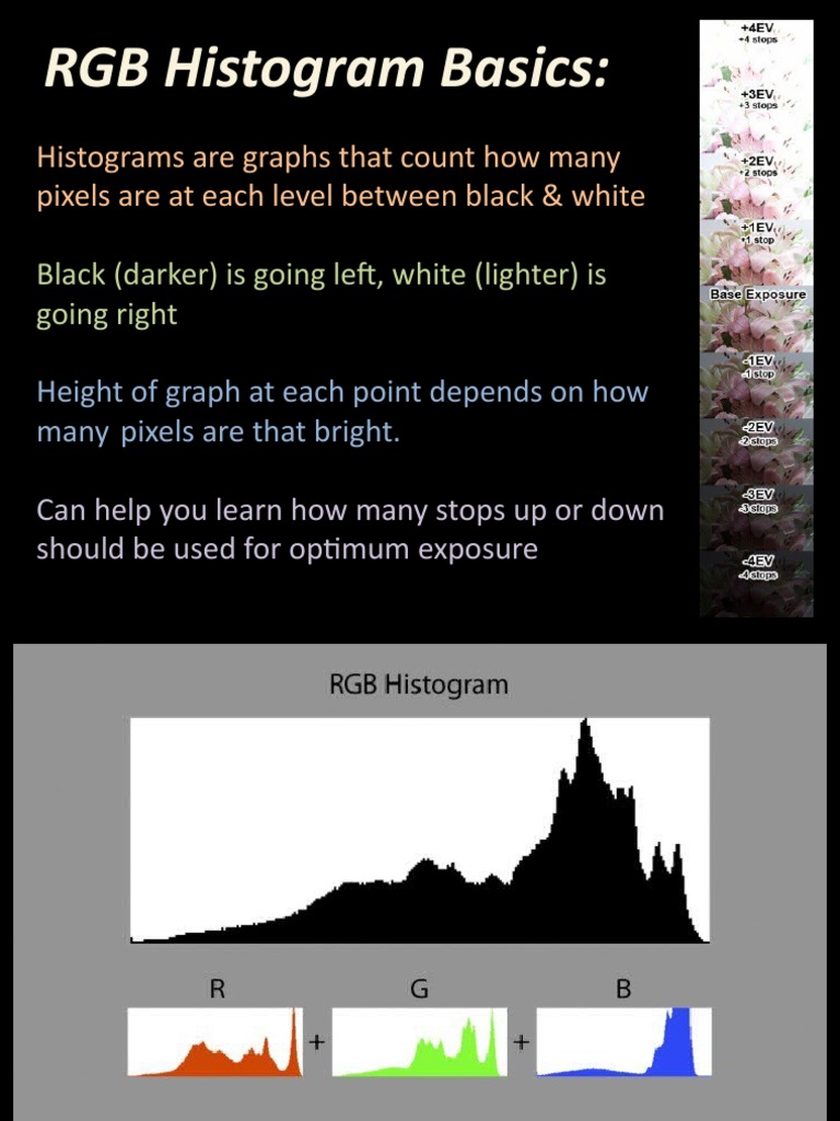 Photography - Histograms | PDF | Exposure (Photography) | Adobe Photoshop