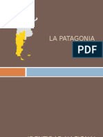 Patagonia Fifinal