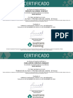 Certificado Apoyos Trabajo en Altura