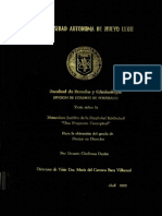 TESIS INMATERIALES.PDF