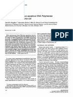 Analytical Biochemistry 1990 Engelke Taq purification.pdf