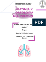 Anatomía y morfología del pulmón (menos de