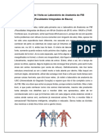 Relatório de Visita Ao Laboratório de Anatomia Da FIB - 08-10-2019