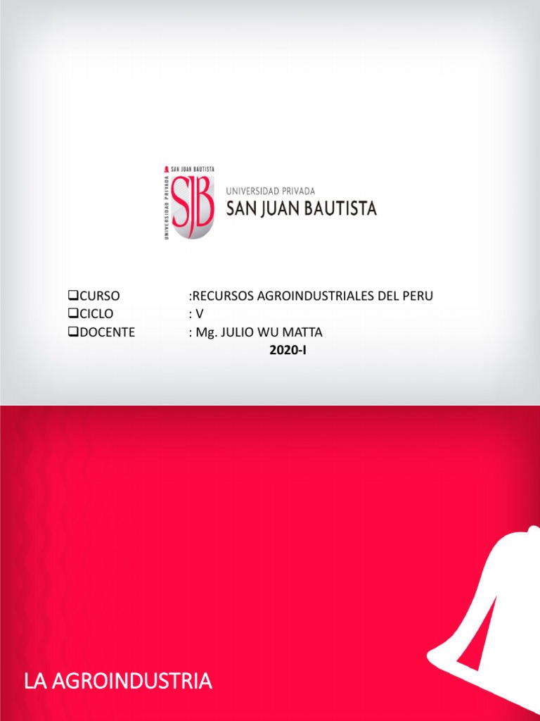 Agroindustria en Perú: Definición y Proceso | PDF | Agronegocios ...