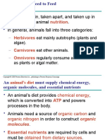 Food Is Taken In, Taken Apart, and Taken Up in The Process of Animal in General, Animals Fall Into Three Categories