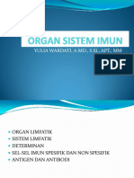 Pertemuan Ketiga (Organ Sistem Imun) PDF