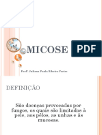 UC4 - Micose