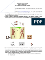 Taller 3 Edufisica 2020 P2