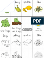 FrogMinibookPack