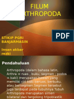 ARTHROPODA