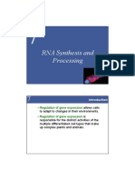 RNA Synthesis and Processing