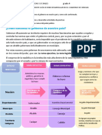 Taller 1 de Sociales Grado 4