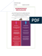 Hormonas Sexuales PDF