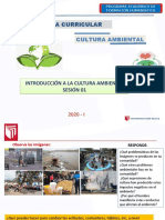 Experiencia Curricular: Cultura Ambiental