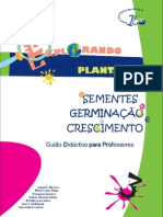 Sementes Germinacao e Crescimento