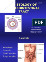 Histology of Gastrointestinal Tract