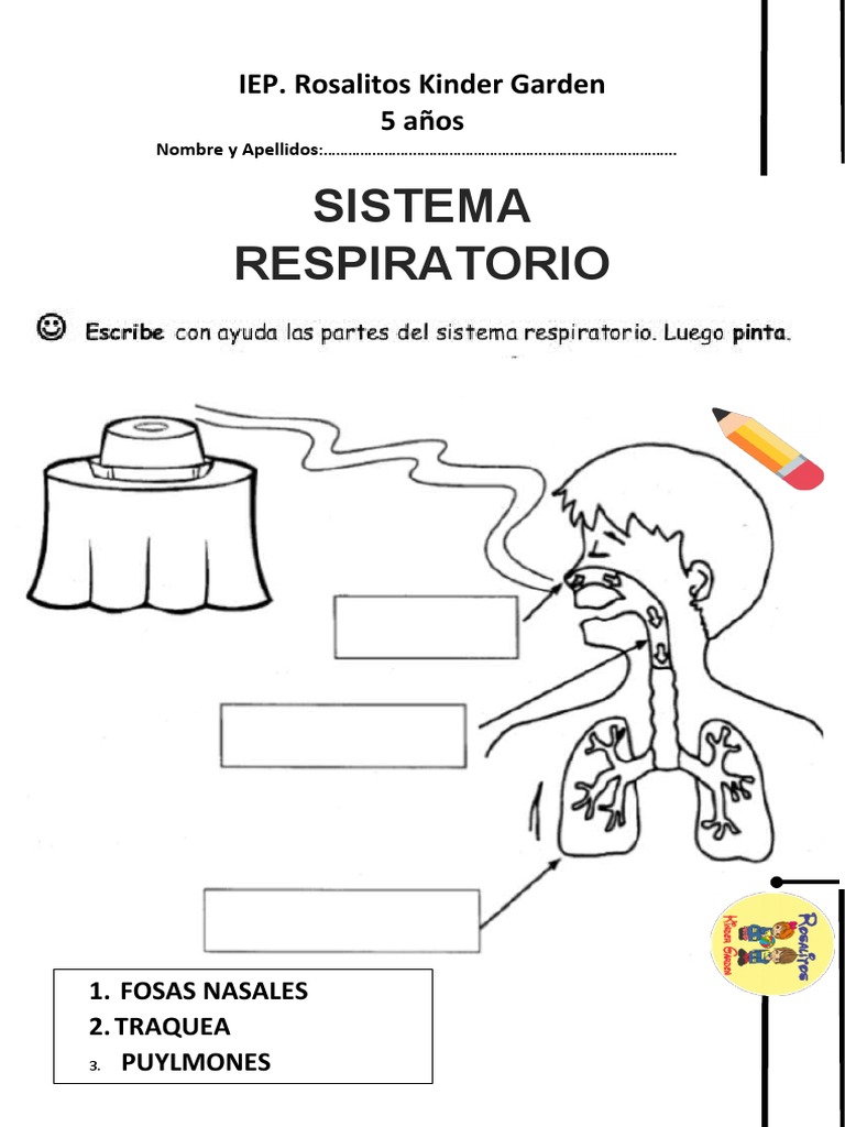 Hojas de Trabajo Gratuitas Sobre el Clima Para Niños | Storyboard That, image size:768x1024