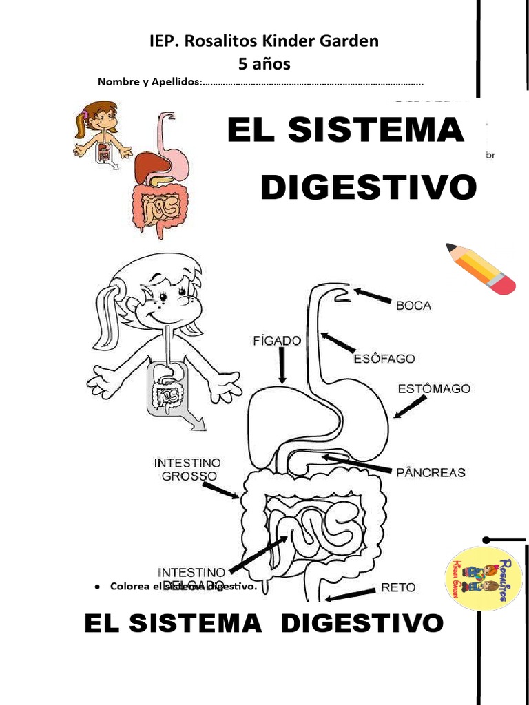 Ciencia Cuarta Semana | PDF, image size:768x1024