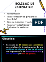 Tema 14. Glucolisis y Ciclo de Krebs