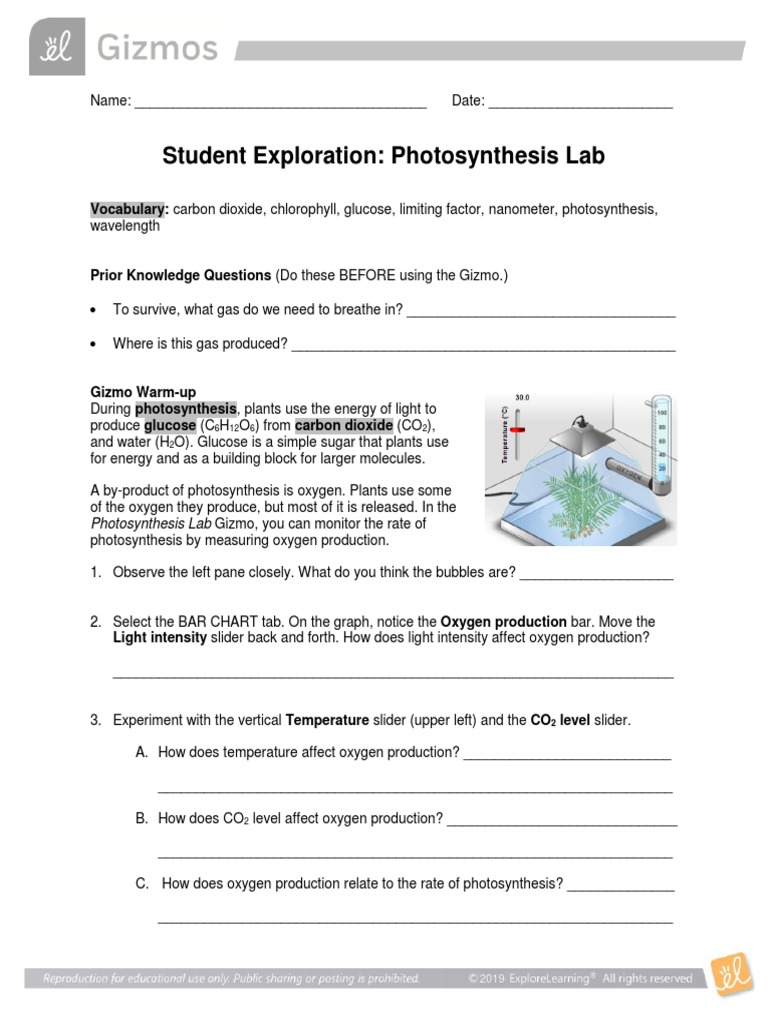 Student Exploration Photosynthesis Lab Photosynthesis Lab Gizmo You Can Monitor The Rate Of Photosynthesis Carbon Dioxide