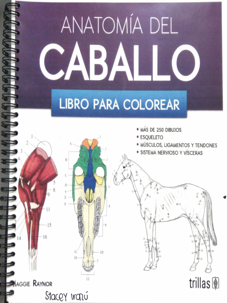 38+ Anatomia para colorear trillas pdf información