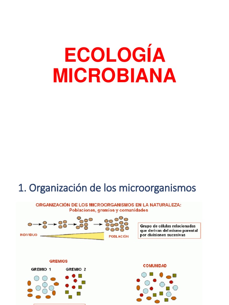 A. Ecología Microbiana A 2018 | PDF | Las bacterias | Mutación