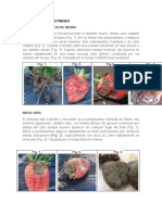 Patologias en Las Fresas