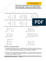 HT02-Determinante y SEL