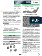Algas Azuis (ou Cianofíceas) ALGAS. Classificação.pdf