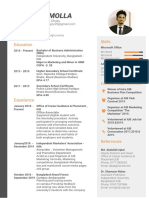 CV Model PDF