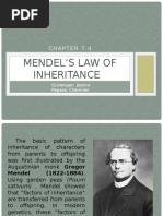 Mendel'S Law of Inheritance: Quidangen, Jessica Ragasa, Charmian