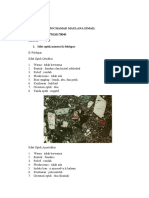 MMaulanaI - 270110170040 - Teori Dasar Praktikum 3