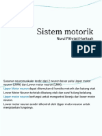 Sistem Motorik 24