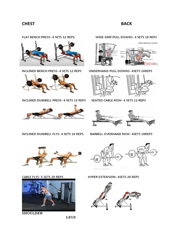 Full Body Workout Routine Plan | PDF