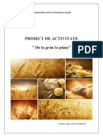 Proiect de Activitate "De La Grâu La Pâine"