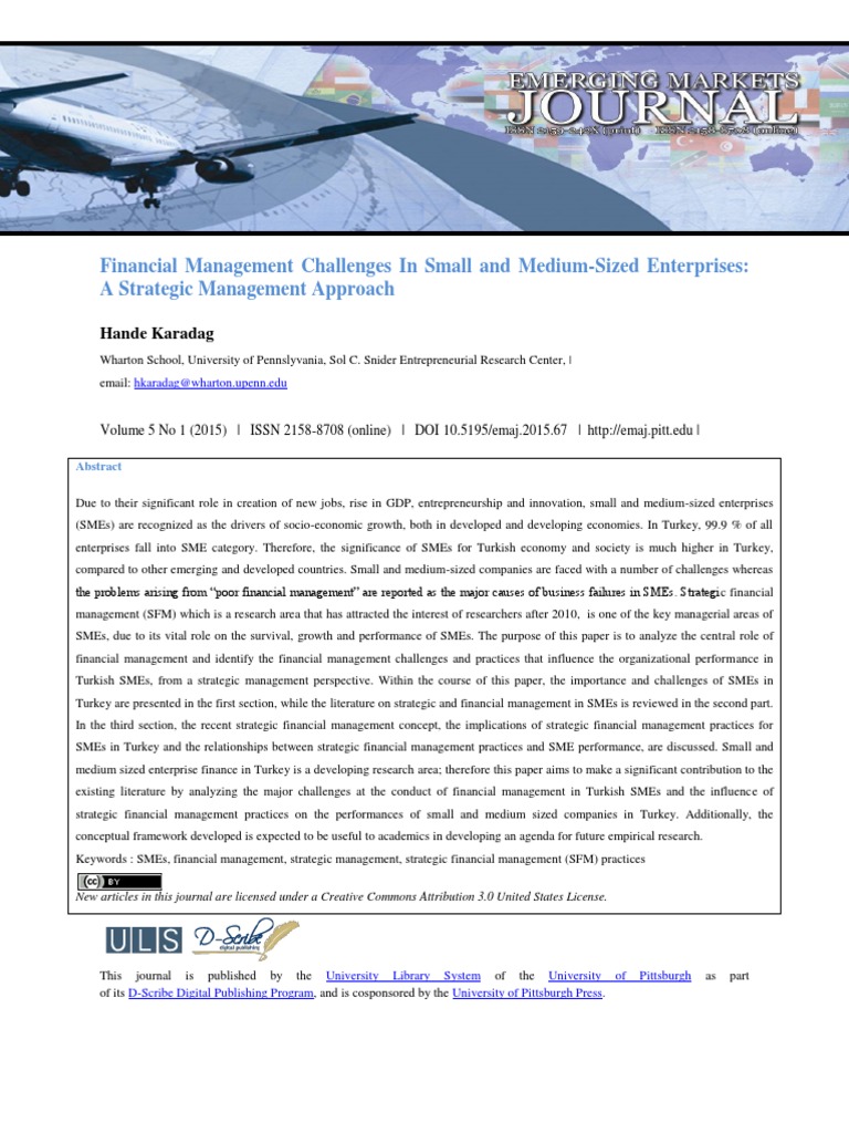 Financial Management Challenges in Small and Medium-Sized Enterprises ...