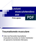 Leziuni Musculotendinoase