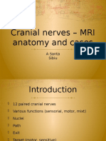 Cranial Nerves - MRI Anatomy and Cases: A Santa Sibiu