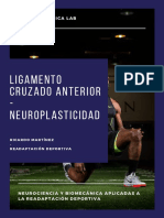 LCA Y NEUROPLASTICIDAD