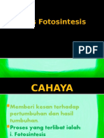 6.proses Fotosintesis