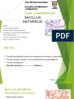 Bacillus