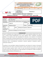 Informe de Piel PDF