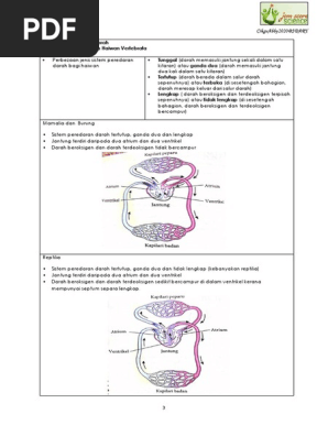 Modul Bab 3 2 Edited Pdf