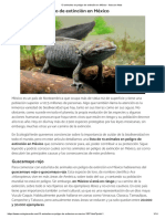 13 animales en peligro de extinción en México - lista con fotos.pdf
