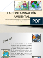 La Contaminación Ambiental - Maria Alejandra Perea 7°4