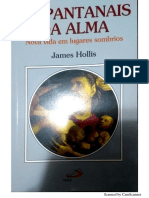 Os Pantanais Da Alma - James Hollis