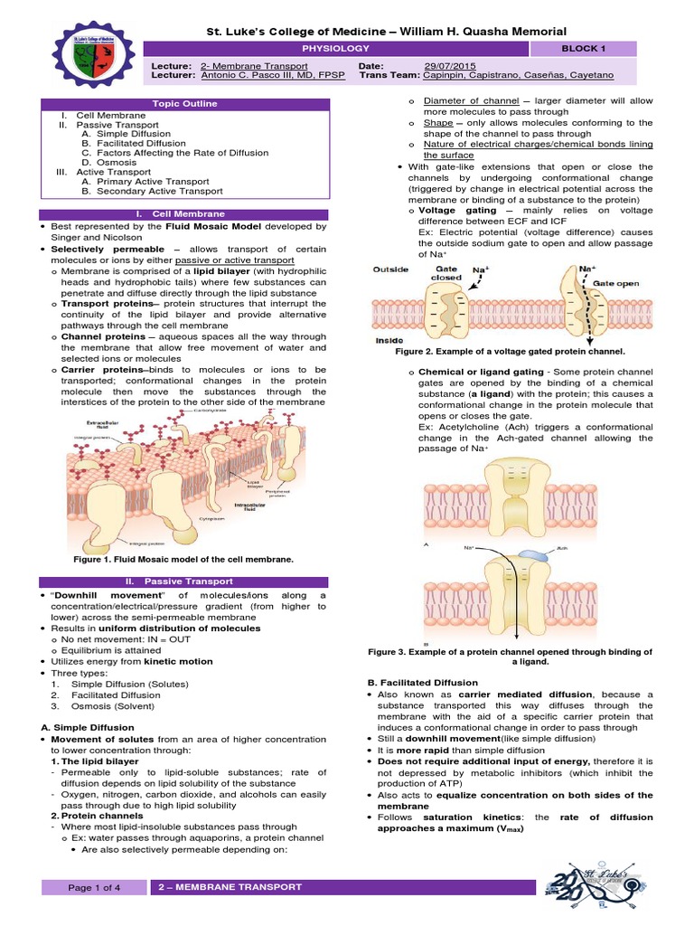 Membrane Transport in Physiology | PDF | Cell Membrane | Diffusion