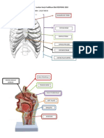 Lembar Kerja Praktikum Blok RESPIRASI