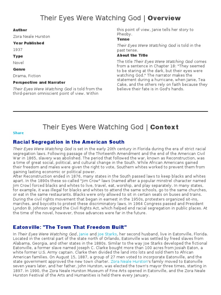 Overview of Their Eyes Were Watching God | PDF | Narration | The United ...