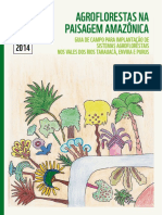 AGROFLORESTAS NA PAISAGEM AMAZONICA.pdf